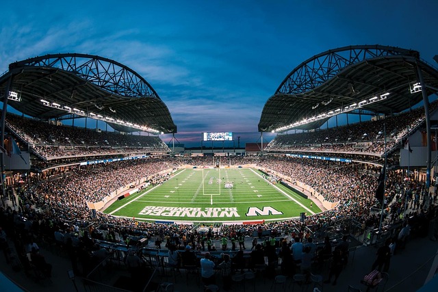 更加多元化 更加多元化