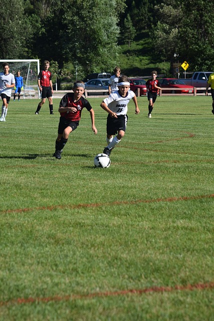 一系列组合 一系列组合