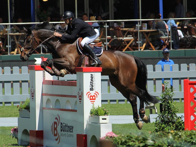 新里程碑 新里程碑