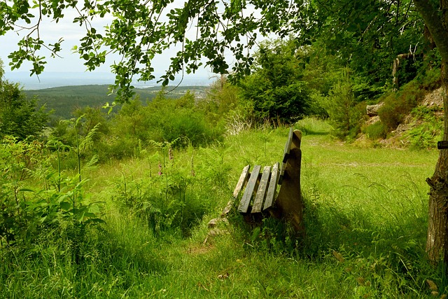 导致球队在 导致球队在