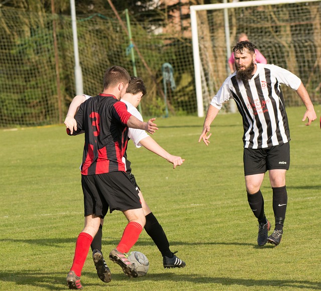 色的团队协 色的团队协